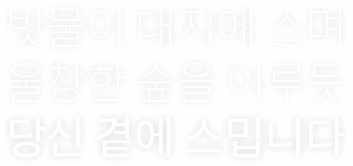 빗물이 대지에 스며 울창한 숲을 이루듯 당신 곁에 스밉니다.